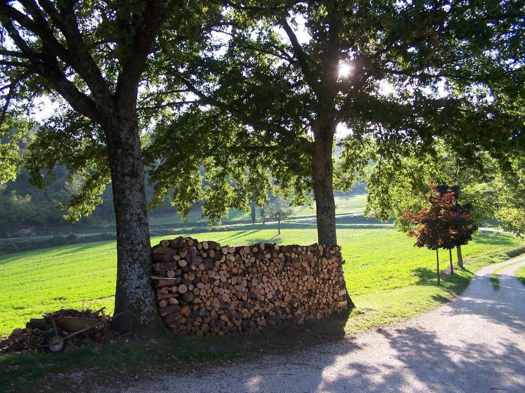 Agriturismo Fontandrone Villa Pieve Santo Stefano Ngoại thất bức ảnh